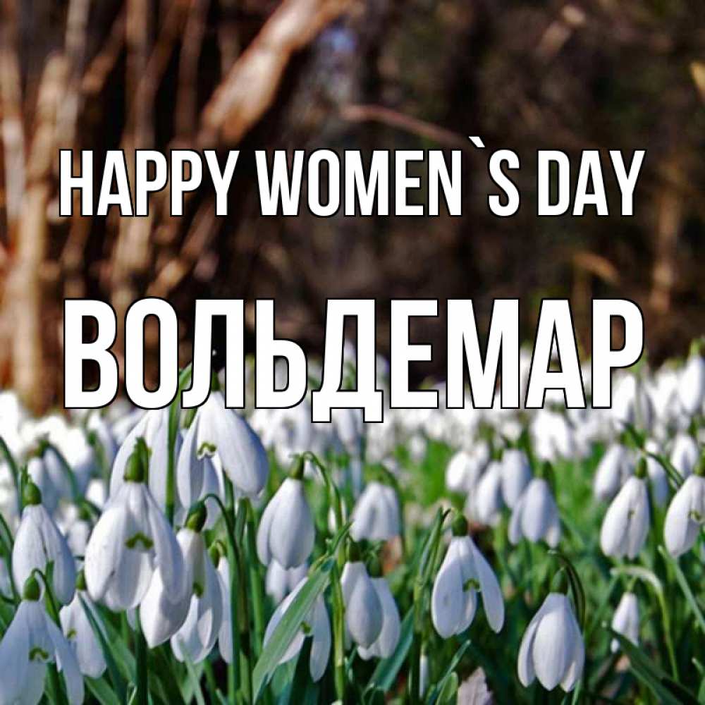 Greetings card с именем, Вольдемар happy women`s day с подснежниками 1 Greetings with text for free download 